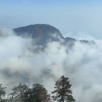 評論圖片 4