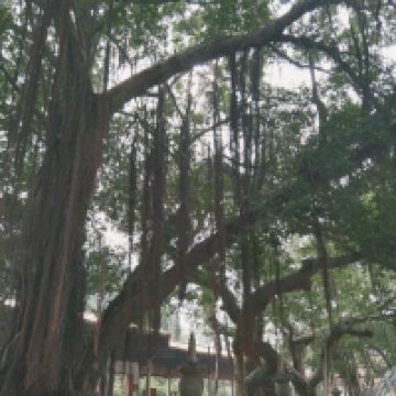 評論圖片 2