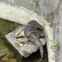 評論圖片 9