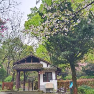 評論圖片 1