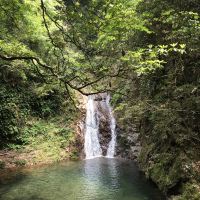 評論圖片 8