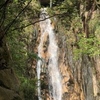 評論圖片 5