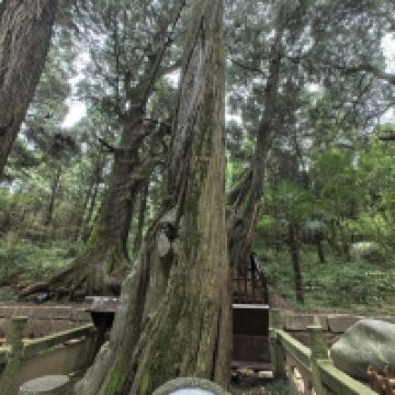 評論圖片 8