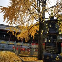 評論圖片 5