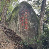 評論圖片 7