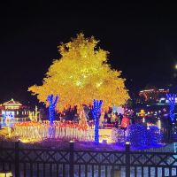 評論圖片 6