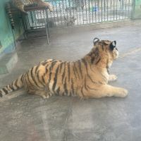 評論圖片 1