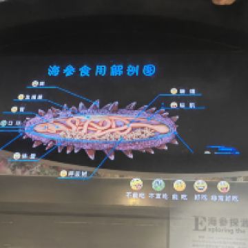 評論圖片 8