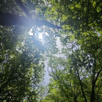 評論圖片 5