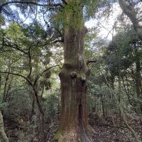 評論圖片 4