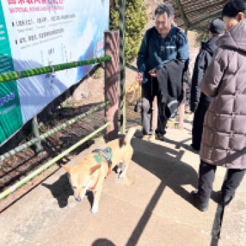 評論圖片 6
