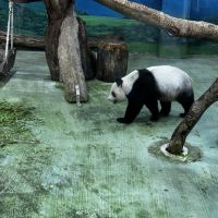 評論圖片 4