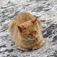 評論圖片 7