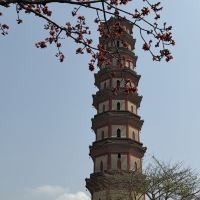 評論圖片 3