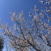 評論圖片 2