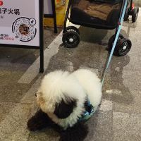 評論圖片 2