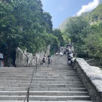 評論圖片 6