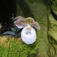 評論圖片 6