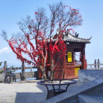 評論圖片 5