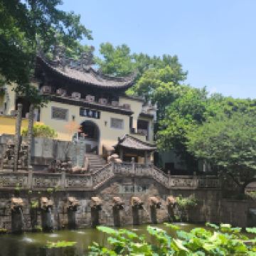 評論圖片 1