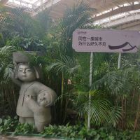 評論圖片 5