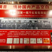 評論圖片 2
