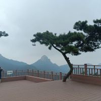 評論圖片 6