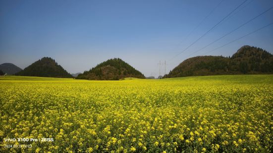 从罗平客运站坐到板桥的班车在金鸡村下车就到了，携程订票方便快