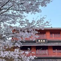 評論圖片 8