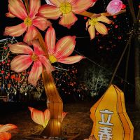 評論圖片 5
