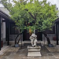 評論圖片 6