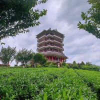 評論圖片 2