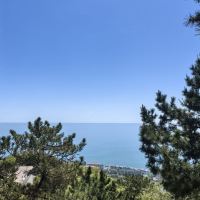 評論圖片 4
