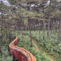 評論圖片 1
