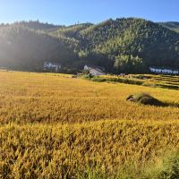 評論圖片 6