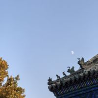 評論圖片 8