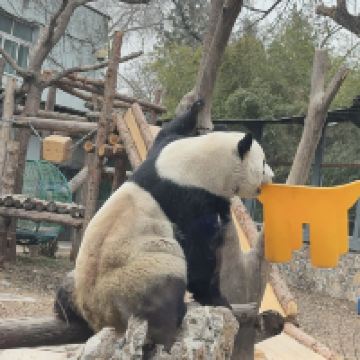 評論圖片 4