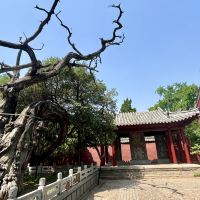 評論圖片 1