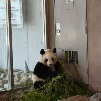 評論圖片 8