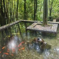 評論圖片 8