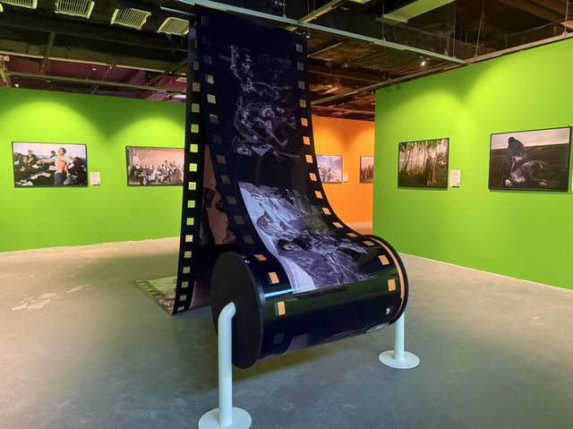 國家地理《百年魅力·天生出彩》經典影像大展-深圳站 | K11購物藝術中心（太子灣大道店）