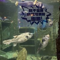 評論圖片 7