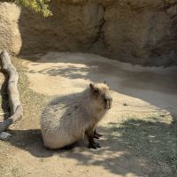 評論圖片 4