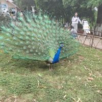 評論圖片 2