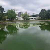 評論圖片 9