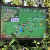 評論圖片 3
