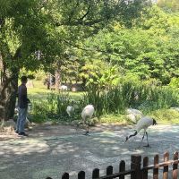 評論圖片 7