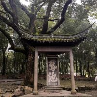 評論圖片 2