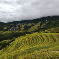 評論圖片 3