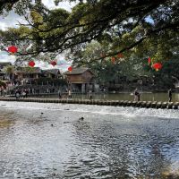 評論圖片 7